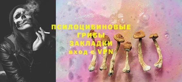 круглые Пересвет