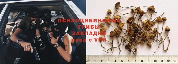 круглые Пересвет