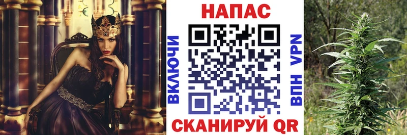 Каннабис OG Kush Правдинск